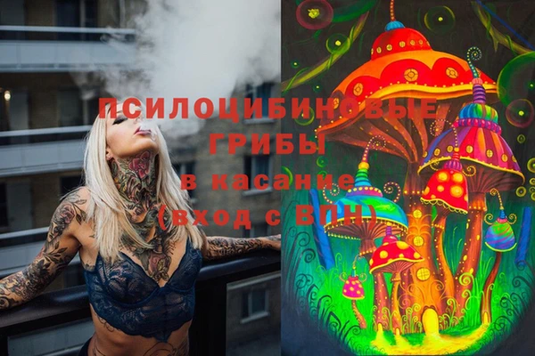 первитин Алексин