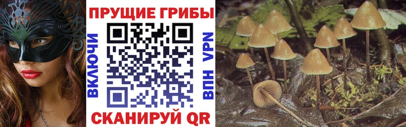 Купить закладки  Чита  Галлюциногенные грибы GOLDEN TEACHER 